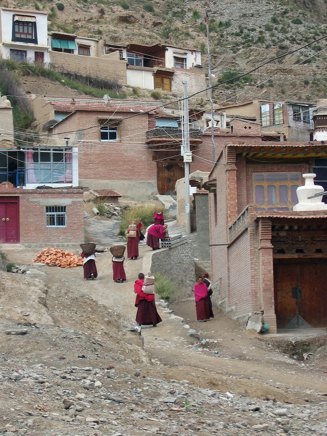 39-Female monks carrying bricks for the monastry.jpg - Female monks carrying bricks for the monastry